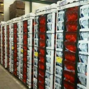 godovoe-obslujivanie-septika-tank-24816-small